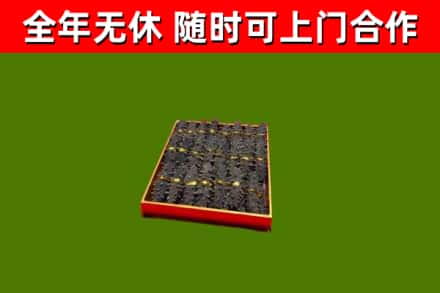 淮上回收海参